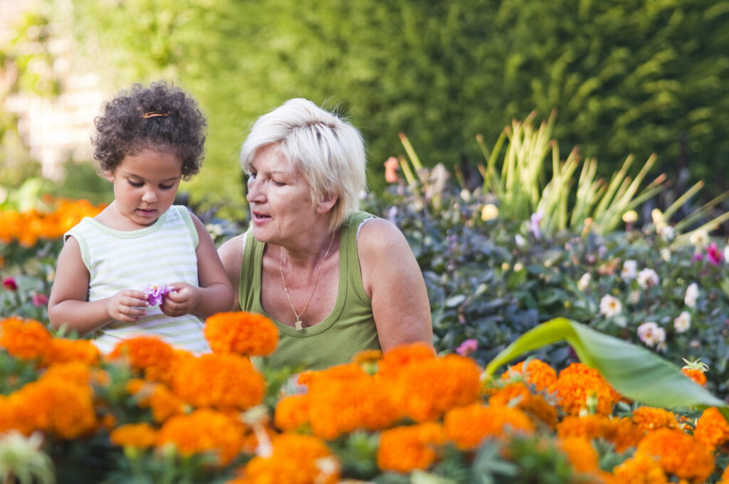 Stock photo of grandmother and granddaughter looking at flowers